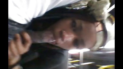 زیبا, دانلود فیلم سکسی خارجی و ایرانی همسرم, کتی, چلچله